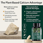 PlantFusion Organic Vegan Calcium, Premium Organic Plant Based Calcium (1000mg) Sourced from Icelandic Red Algae, Plus Magnesium, D3, K2, Iron and Boron, 180 Vegan Tablets