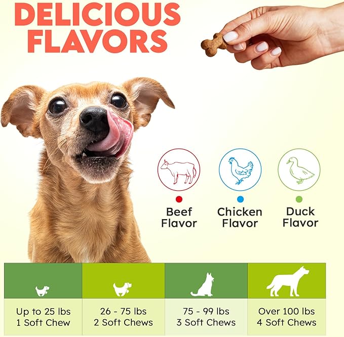 Collagen for Dogs - 150 Chews - Joint, Skin & Coat Supplement with Hyaluronic Acid, Eggshell Membrane & Vitamin C - Daily Hip & Joint Support for Senior Dogs & Puppies - Beef