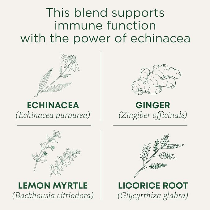 Traditional Medicinals Tea, Organic Immune Zoom Lemon Ginger - Supports Immune Function - Kosher, Non-GMO, Caffeine-Free, Compostable - 48 Tea Bags (3 Pack)