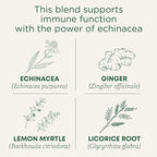 Traditional Medicinals Tea, Organic Immune Zoom Lemon Ginger - Supports Immune Function - Kosher, Non-GMO, Caffeine-Free, Compostable - 48 Tea Bags (3 Pack)