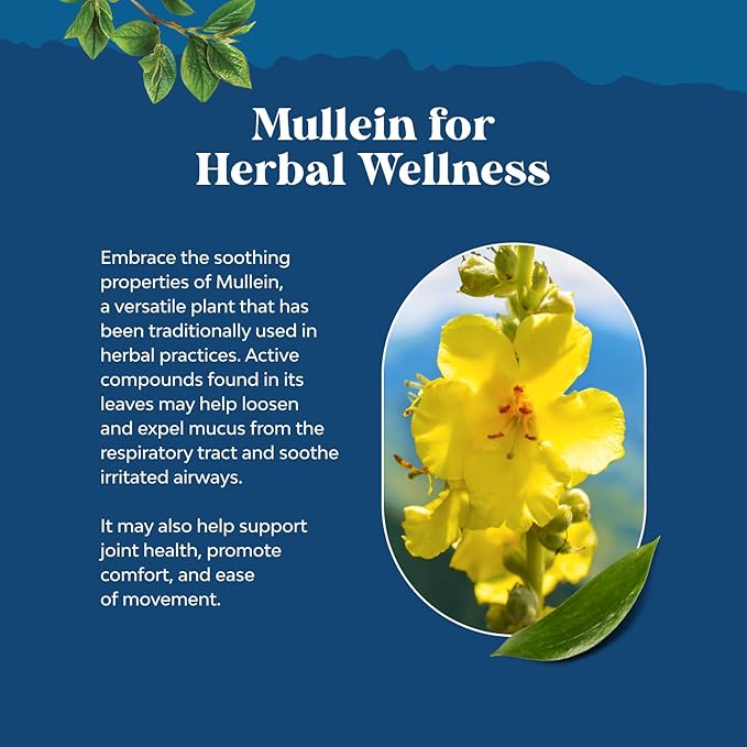 Organic Mullein Drops for Lungs - Lung Detox & Cleanse with Marshmallow Root Extract & Plantain Leaf for Respiratory Lung Health - Mullein Leaf Tincture Drops for Breathing Support - 4 Fl Oz (2 Pack)