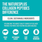 NaturesPlus Collagen Peptides, Berry Lemonade - 0.8 lb Powder - Hair, Skin, Nail & Joint Health, Immune System Support - Non-GMO, Gluten Free - 14 Servings