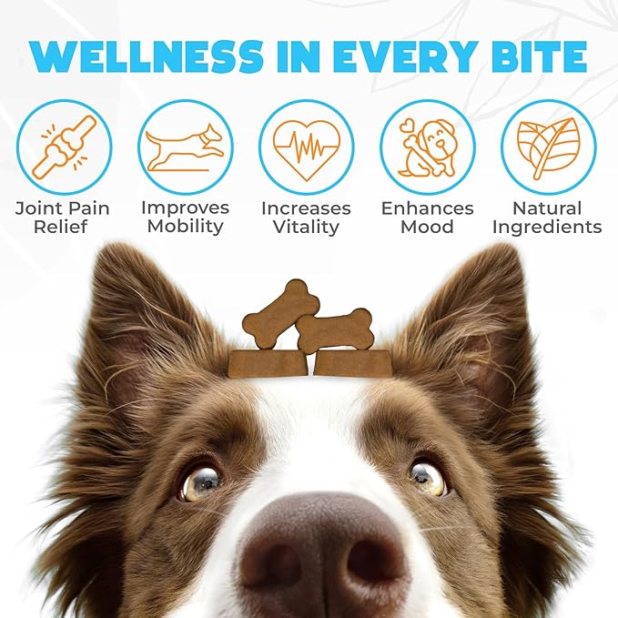 ZENO Glucosamine HCL & Hip and Joint Chews for Dogs - 150 pcs - Advanced Hip and Joint Support for Senior Dogs - with MSM & Green Lipped Mussel - Beef