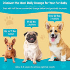 Wanderfound Pets Same 100 Liver Support for Dogs - Same S-Adenosyl-L-Methionine Hepatic Supplement for Liver & Brain Support - Bacon Flavored Sam E, Manufactured in the USA - 30 Chewable Tablets