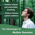 1 Pack Organic Mullein Gummies for Lungs, 2000MG Mullein Leaf Extract Supplement | Quercetin, Bromelain for Respiratory & Immune Support | Vegan, Sugr-Free, Mango Flavor | 60 Count