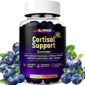 Cortisol Gummies for Women & Men with Ashwagandha, Magnesium, L-Theanine and Multivitamin, Vegan Chewable Gummies for Daily Lifestyle Balance, Convenient Adult Supplement, 60 Count