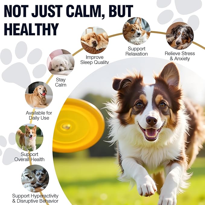 Calming Chews for Dogs 200ct, Dog Calming Chews - Anxiety and Stress Relief Treats Melatonin Bites Sleep Aid for Small/Medium/Large Dogs Calm Dog - Separation, Fireworks, Thunder, Barking - Chicken