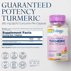 SOLARAY Turmeric Supplement 300 mg - Turmeric Root Extract with 95% Curcumin - Joint Support Supplement for Joint Health and Comfort - Non-GMO, Vegan, Gluten Free, 60-Day Guarantee, 60 Servings