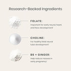 Perelel 1st Trimester Prenatal Pack, Multivitamin with Folate, Vitamin D, Omega 3, Iron & Ginger, Nutritional Support for Early Pregnancy, Soy & Gluten Free, Non GMO, 30 Daily Pill Packs