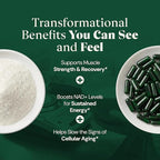 10-in-1 UROLITHIN A 1250mg Liposomal Longevity Complex | w. NAD+, Nicotinamide Riboside & Resveratrol | Mitochondrial Support Promotes Cellular Energy, Anti-Aging & Muscle Recovery