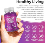 Magnesium Glycinate Gummies 600mg，High Absorption Magnesium Gummies, Sugar Free Chews for Adults & Kids Relaxation, Stress Relief (60 Count（Pack of 2）)