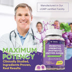 Totaria 2 PCS Sugar Free 5-in-1 Probiotic Prebiotic Postbiotic Gummy, 36 Strains Probiotics for Women Men with Digestive Enzymes, Peppermint, Complete Immune, Gut & Digestive Support, Grape Flavor