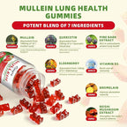 Catfit Mullein Gummies for Lungs Detox &Lymphatic Drainage,Mullein Leaf Extract,Quercetin&Elderberry for Respiratory & Immune Support,Vegan, Strawberry Flavor, 120 Gummies
