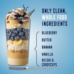 FlavCity All in One Protein Shake Powder, Blueberry Muffin - On the Go Meal Alternative + Collagen Peptides, Reishi & Cordyceps - Focus, Skin, Hair & Joint Support - 100% Grass Fed Whey, 20 Servings