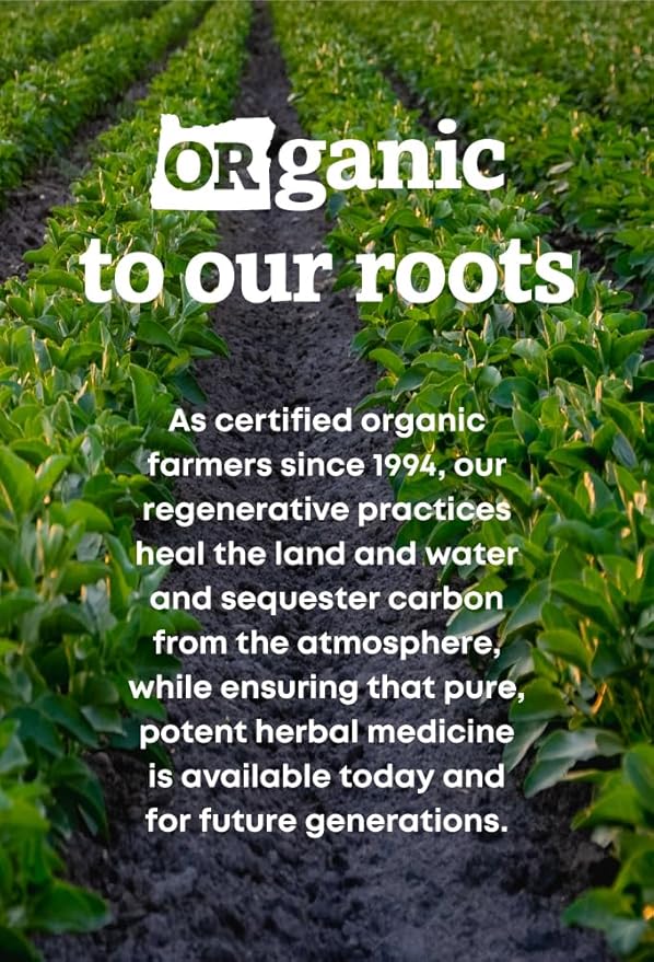 Oregon's Wild Harvest Non-GMO Chaste Tree Capsules,Organic Herbal Supplements, 90 Count
