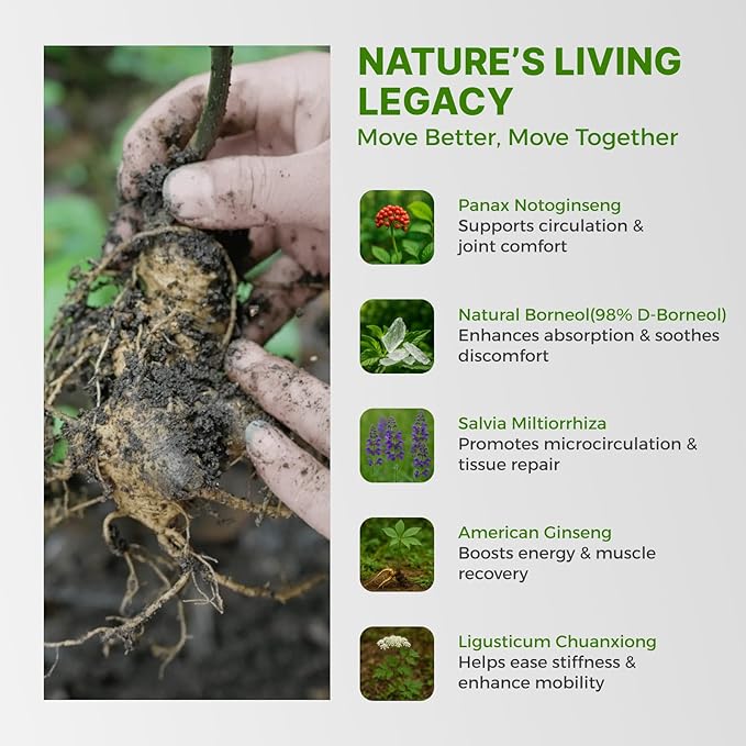 Bone & Joint Support Supplement Inspired by Chinese Herbal Wisdom for Mobility, Flexibility and Stability - with Notoginseng & Salvia - Made in USA - 60 Vegan Capsules