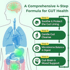 GREENPEOPLE Digestive Enzymes for Women & Men - Gentle Gut Health & Cleanse Capsule with Slippery Elm, Chlorophyll, Spirulina, Probiotics Complex - Complete Sensitive Gut Supplement 60 Ct 30 Days Use