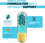 GLP-1 Probiotic Support Appetite Suppressant – Akkermansia muciniphila & Bifidobacterium infantis – Inulin Prebiotic Fiber – Gut Cleanse, Craving & Weight-Loss Support – 30 Caps