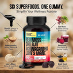 KJHD Shilajit Ashwagandha Gummies with Sea Moss, Beet Root, Lion’s Mane Mushroom & Black Seed Oil – Organic Herbal Superfood Supplement – 60 Vegan Gummies