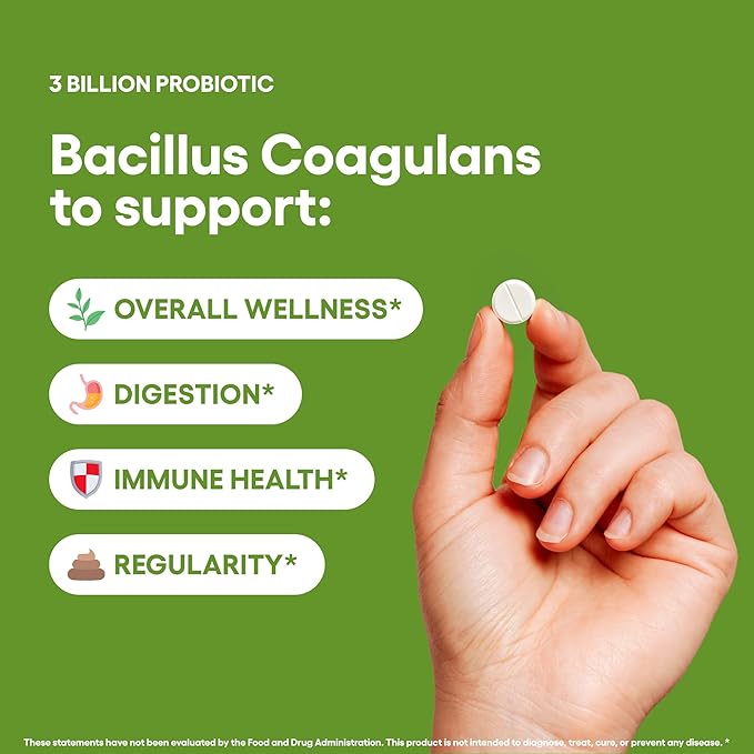 Natural Foundation Supplements Bacillus Coagulans Probiotic Supplement 240 Tablets 3 Billion CFU Probiotics for Men & Women Supports Intestinal Digestive & Gut Health (240, Bacillus Coagulans)
