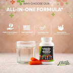 Turmeric Moringa Supplement | Ginger Boswellia Saffron - Supplement for Women and Men with Ceylon Cinnamon, Tart Cherry, Quercetin Garlic Nettle Holy Basil - 3Pack