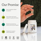 Needed. Stress Support - Herbal Blend Supporting Mood, Energy, and Hormone Balance for Women - Herbal Supplement of Shatavari, Ashwagandha, Rhodiola - Non-GMO - 30 Day Supply - 120 Capsules