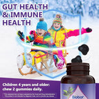 Biobor Natural Black Elderberry Gummies 150mg, Elderberry Fruit Extract with Vitamin C and Zinc, Herbal ElderCraft® Gummies Daily Immune Support for Kids and Adults, 60 Count