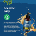 Organic Mullein Drops for Lungs - Lung Detox & Cleanse with Marshmallow Root Extract & Plantain Leaf for Respiratory Lung Health - Mullein Leaf Tincture Drops for Breathing Support - 4 Fl Oz (2 Pack)