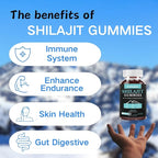 Shilajit for Man,Woman & Kid.Himalayan Gold Shilajit Gummies.1000mg Shilajit,200mg Ashwagandha,200mg Chaga,100mg Ginseng,100mg Saw Palmatto,60mg Black Seed Oil
