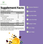 AFXMATE Sambucus Elderberry Gummies, Black Elderberry Gummy with Zinc and Vitamin C for Adults, Sugar Free Kids Multivitamin Gummies Immune Support* Supplement (2 Pack)