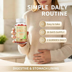 DGL Gummies | Deglycyrrhizinated Licorice Root Extract, Quercetin, Aloe Vera, Anise Seed Powder | Gut Health, Stomach Soothe, Gerd Support, Digestive Comfort | Gluten Free, 60 ct(Strawberry Flavor)