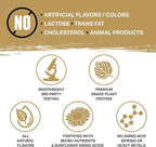 Ambrosia Planta - Plant-Based Protein Powder 20g | Dairy Free Vegan Protein Powder with BCAA Amino Acids | Keto-Friendly, No Added Sugar | 25 Servings | Campfire Smores