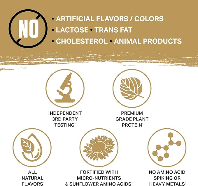 Ambrosia Planta - Plant-Based Protein Powder 20g | Dairy Free Vegan Protein Powder with BCAA Amino Acids | Keto-Friendly, No Added Sugar | 25 Servings | Campfire Smores