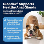 Vetnique Glandex Anal Gland Soft Chew Treats with Pumpkin for Dogs Digestive Enzymes, Probiotics Fiber Supplement for Dogs Boot The Scoot (Bacon Flavor Chews, 60 Count) (Pack of 2)