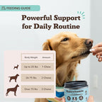 Natural Dog Company Vet Strength Multivitamin for Dogs – 90 High-Potency Soft Chews with Glucosamine, Chondroitin, Probiotics & Omegas – Supports Joints, Skin, Coat, Digestion, Immune & Heart Health