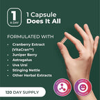 PurePremium Kidney Support Supplement – Kidney Cleanse Detox & Repair with Cranberry Extract & Astragalus - 21-in-1 Complex Supports Normal Bladder, Urinary Tract & Kidneys Health - 120 Day Supply