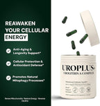10-in-1 UROLITHIN A 1250mg Liposomal Longevity Complex | w. NAD+, Nicotinamide Riboside & Resveratrol | Mitochondrial Support Promotes Cellular Energy, Anti-Aging & Muscle Recovery