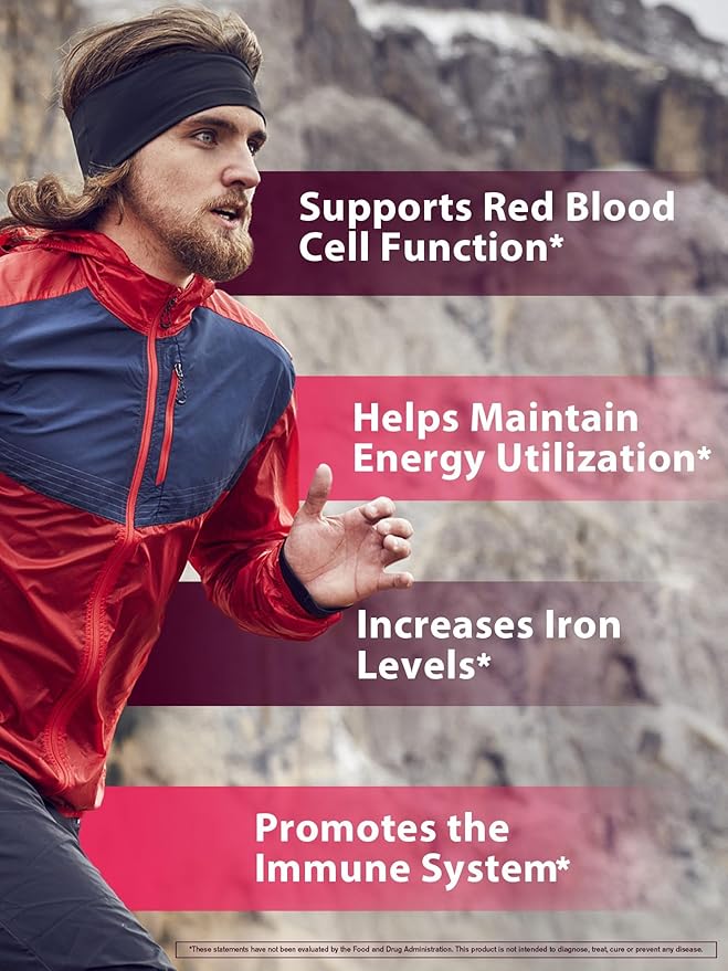 Iron Supplement for Women Men, High Potency Iron 65mg with Vitamin C 250mg, Stomach Friendly Iron Pills for Red Blood Cell & Immune Support, Vegan, Non-GMO & Gluten Free, 90 Tablets