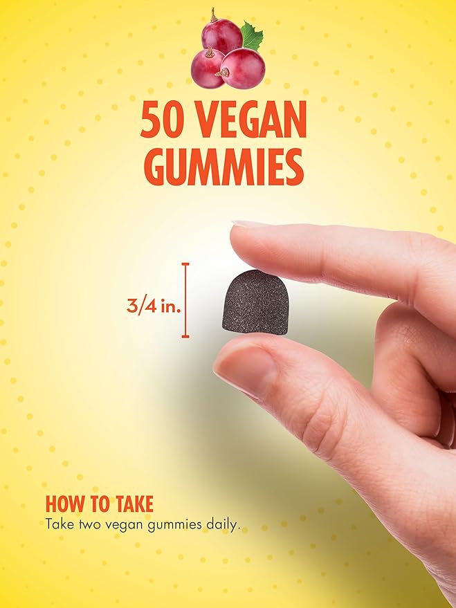 Sundance Magnesium Glycinate Gummies | 200mg | 50 Count | Grape Flavor | Vegan, Non-GMO, and Gluten Free Supplement