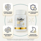 Gut Health - Gut Barrier Function, Epithelial Cell Growth, Immune Support, Enhances Nutrient Absorption, Microbiome Balance (HMO 3'-SL) (3-Pack | Best Value)