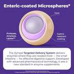 Pancreatic Digestive Enzymes 10,000 Lipase USP Units – High-Potency Pancreatic Digestive Enzyme Supplement for Gas, Bloating & Indigestion Relief– Gut Health & Nutrient Absorption– 50 Capsules