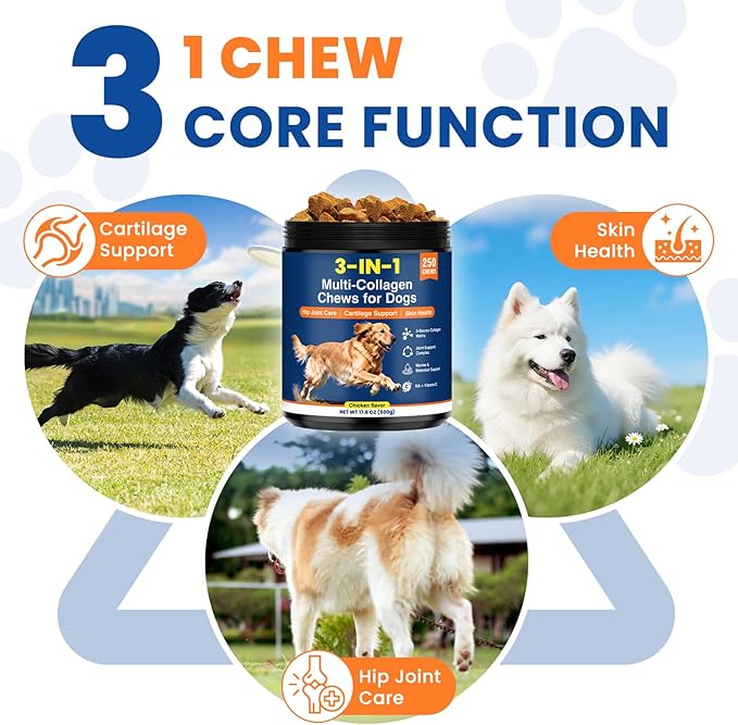 Multi Collagen Soft Chews for Dogs 250 Count for Hip & Joint Supplement Skin & Coat Health Cartilage Mobility Support with Glucosamine Probiotics Hyaluronic Acid Eggshell Membrane (Chicken Flavor)