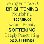 Plant Therapy Evening Primrose Carrier Oil 4 oz Base Oil for Aromatherapy, Essential Oil or Massage use