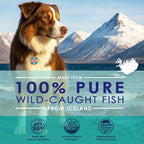 Liquid Fish Oil for Dogs with Omega 3, 6 & 9 Fatty Acids, Wild Caught from Iceland, Skin and Coat Supplement for Shedding, Itchy Skin, Allergies, Brain and Heart Health, Rich in EPA + DHA - 16 oz