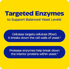 Enzymedica, Candidase, Digestive Enzymes for Gentle Cleansing Support, Gut Health & Digestion, 84 Count