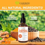Liquid Turmeric Curcumin with Bioperine for Enhanced Absorption - Turmeric Curcumin Supplement for Joint Support - Turmeric Extract with Black Pepper - 2 Month Supply - 4oz