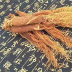 Red Ginseng Roots Whole Root Pieces - Red Panax Ginseng Roots Ginseng Red Ginseng Korean Red Ginseng Supplement Red Ginseng Tea Energy Chews (100 Grams /0.22 lbs), 1.0 Count