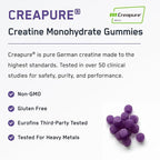 SteelFit Creapure Creatine Monohydrate Gummies for Men & Women, Concord Grape - Gym Workout Nutritional Supplements for Muscle Gain, Brain Health & Strength Building Dietary Supplement, 120 Gummies