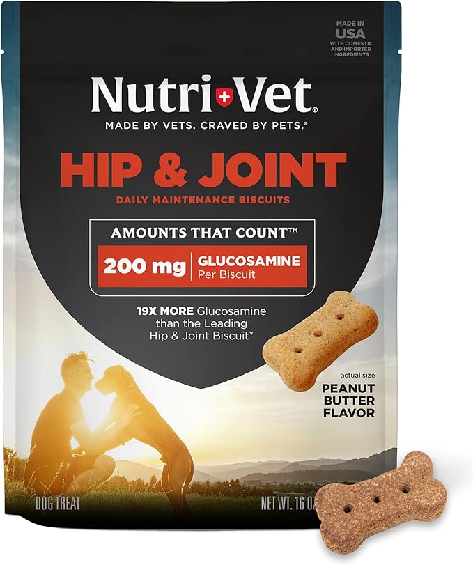 Nutri-Vet Hip & Joint Biscuits, Dog Joint Supplement, Dog Treat, Small Sized Biscuit with 166mg Glucosamine, Puppy Supplements, Tasty Glucosamine Treat, Puppy Essentials, 16 oz Bag