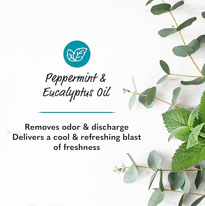 Summer's Eve Perimenopause Cooling Wash, Cooling pH-Balanced Formua with Eucalyptus to Remove Odor, 15 Fl Oz